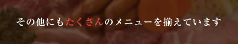 その他にもたくさんのメニューを揃えています